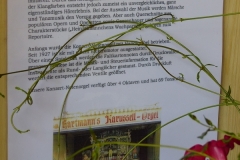 P1240083