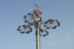 DSCN7889