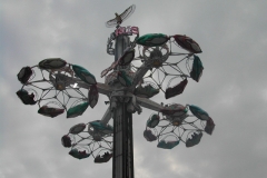 DSCN8262
