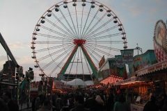DSCN8331