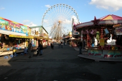 DSCN0233