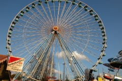 DSCN0236