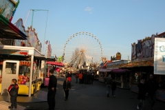 DSCN0260