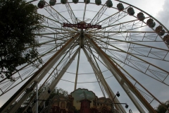 kDSCN9131_5