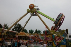 kDSCN0729_36