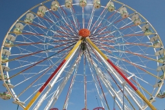 kDSCN0999_29