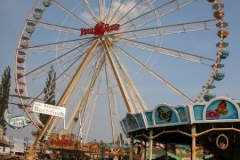 kDSCN1419_50