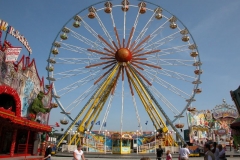 kDSCN2188_6