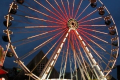 kDSCN2771_8