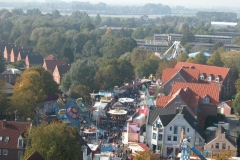 kDSCN3466_41