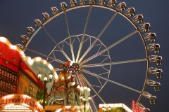 kDSCN3897_78