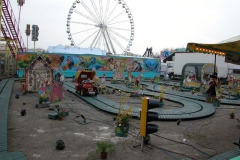 DSCN5929_49