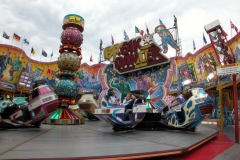 DSCN6110_46