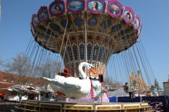 DSCN6405_8