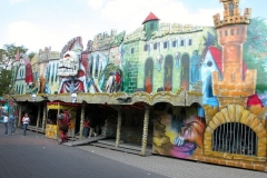 DSCN6951_16