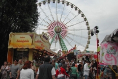 DSCN8496_101