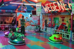 DSCN9723_12
