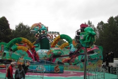 DSCN9728_16