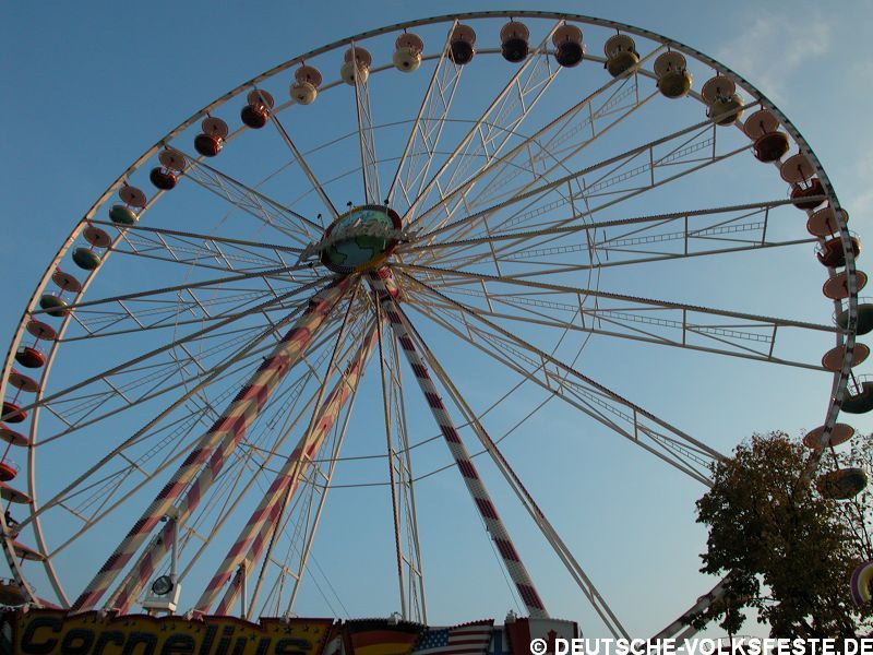DSCN0027_9