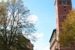 DSCN0674_1