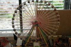 DSCN1323_49