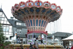 DSCN5622_16