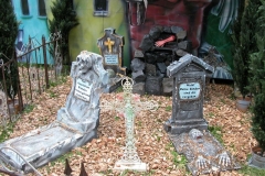DSCN8401_80