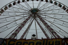 DSCN8409_85