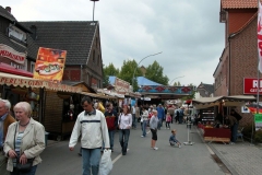 DSCN8542_13