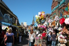 DSCN8694_16