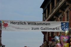 DSCN0483_2