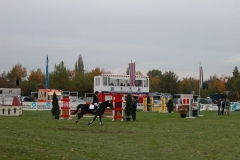 DSCN9560_85