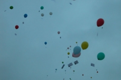 DSCN0273_19