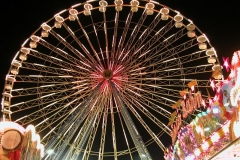 DSCN0334_37