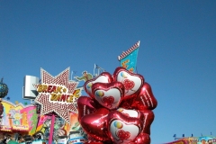 DSCN1417_13