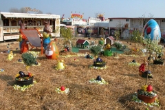 DSCN2138_60