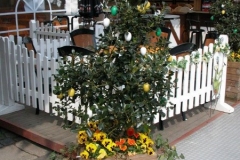 DSCN2296_4