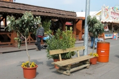 DSCN2301_9