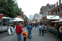 DSCN4317_15