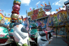 DSCN0950_48