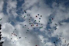DSCN2052_13