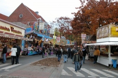 DSCN2979_26