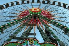 DSCN3536_113