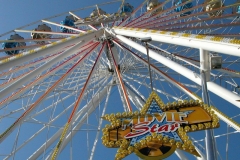 DSCN3631_11