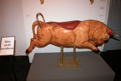 DSCN0077_36