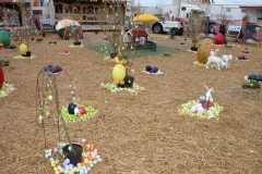 DSCN0148_9