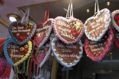 DSCN0089_41
