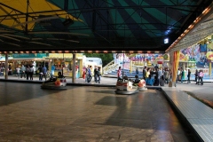 DSCN0121_85