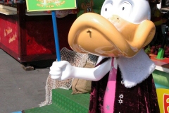 DSCN0079