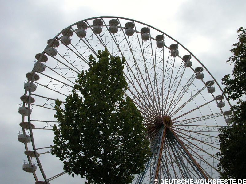 DSCN0031